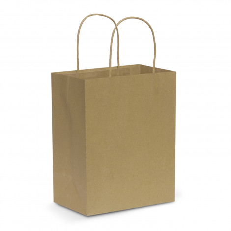 Paper Carry Bag - Medium - Image 3
