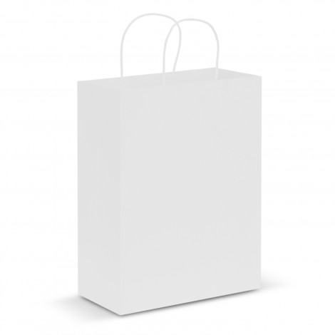 Paper Carry Bag - Large - Image 4